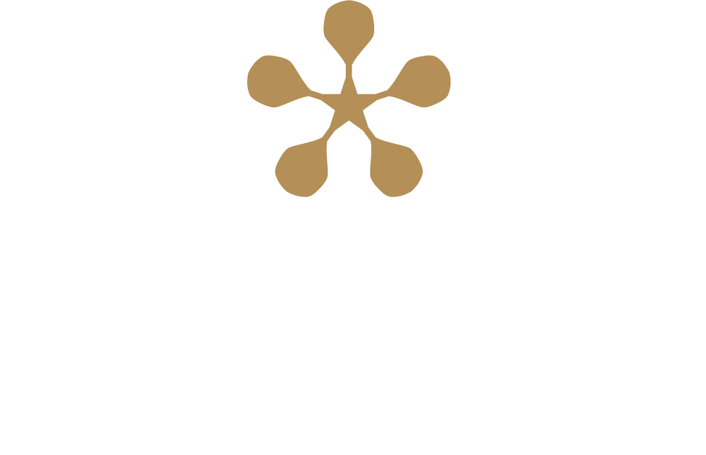 premier_padel_logo